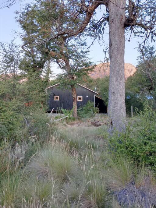 Larsonlodge Segunda Temporada Malalcahuello