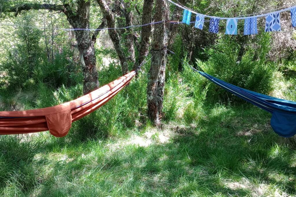 Apartamento Larsonlodge Segunda Temporada Malalcahuello